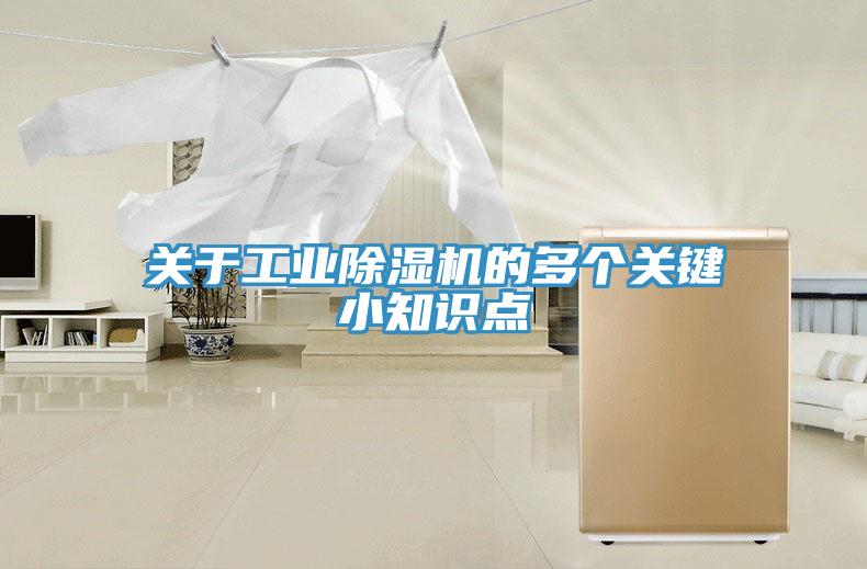 关于工业91免费网站在线观看的多个关键小知识点