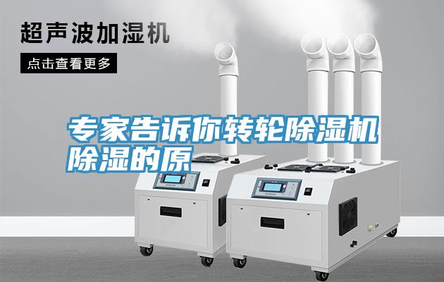 专家告诉你转轮91免费网站在线观看除湿的原