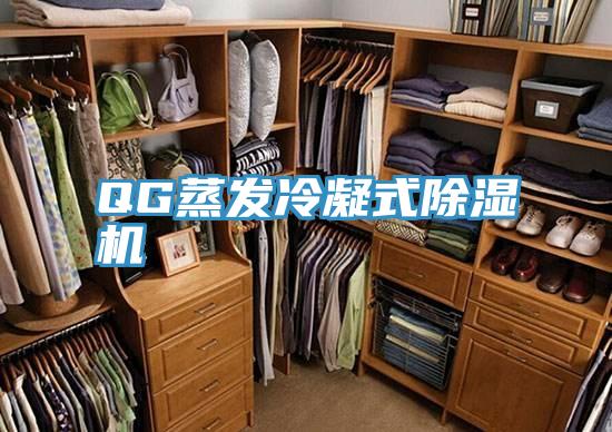 QG蒸发冷凝式91免费网站在线观看