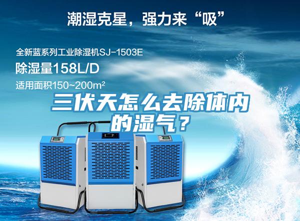 三伏天怎么去除体内的湿气？
