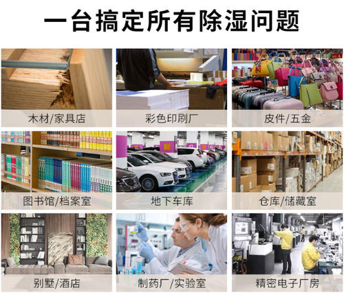 智能91免费网站在线观看