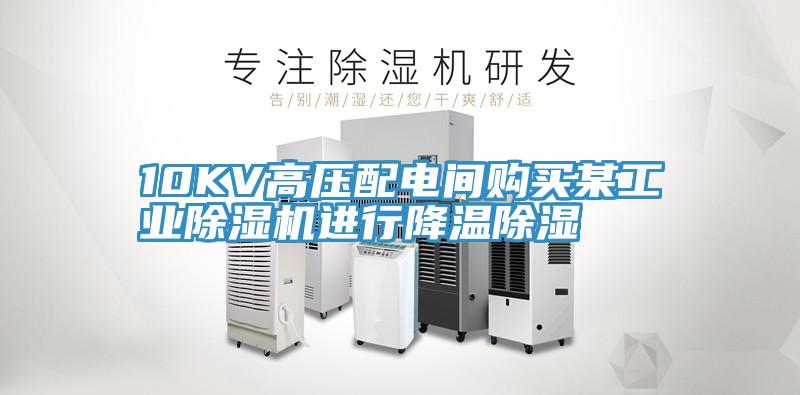 10KV高压配电间购买某工业91免费网站在线观看进行降温除湿