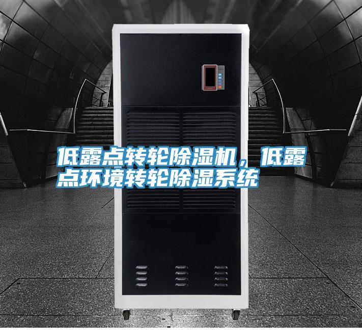 低露点转轮91免费网站在线观看，低露点环境转轮除湿系统