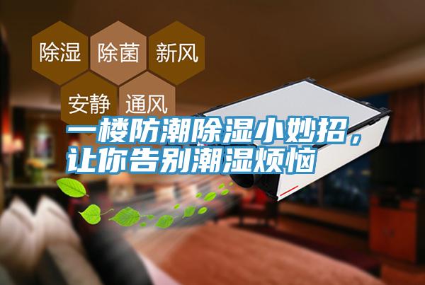 一楼防潮除湿小妙招，让你告别潮湿烦恼