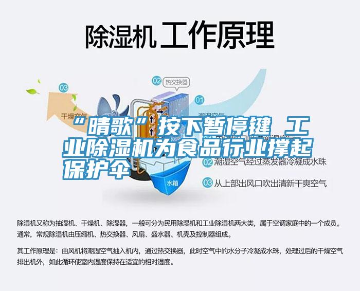 “晴歌”按下暂停键 工业91免费网站在线观看为食品行业撑起保护伞