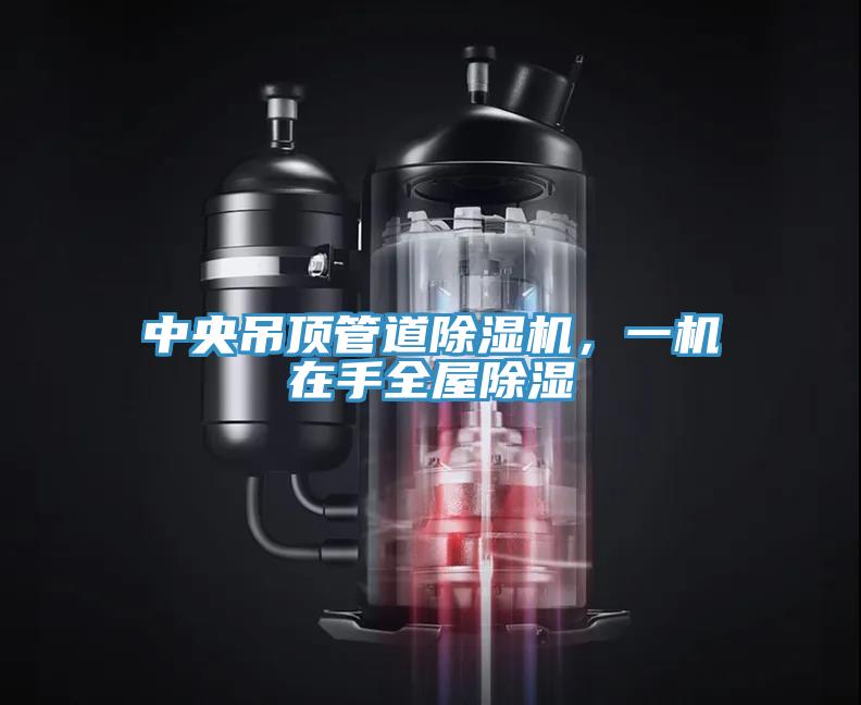 中央吊顶管道91免费网站在线观看，一机在手全屋除湿