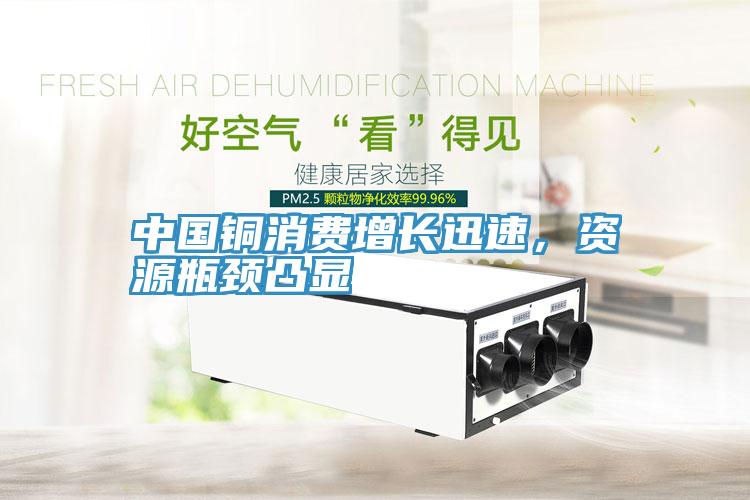 中国铜消费增长迅速，资源瓶颈凸显