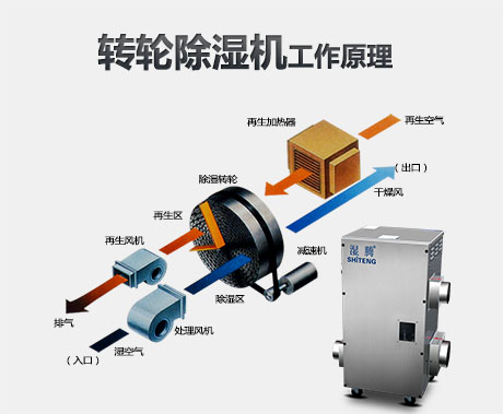为什么要使用转轮91免费网站在线观看