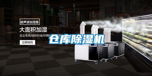 仓库91免费网站在线观看