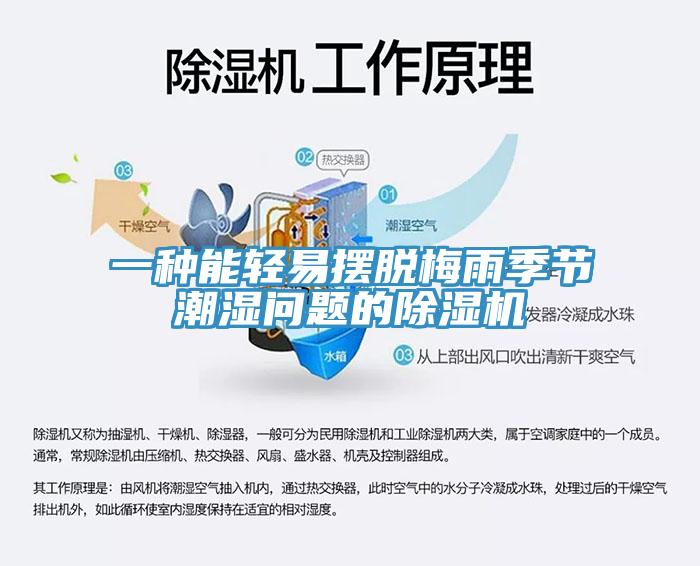 一种能轻易摆脱梅雨季节潮湿问题的91免费网站在线观看