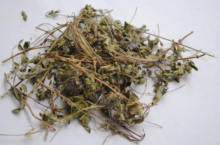 91免费看黄片烘干机