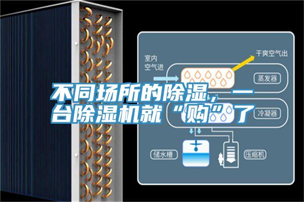 不同场所的除湿，一台91免费网站在线观看就“购”了