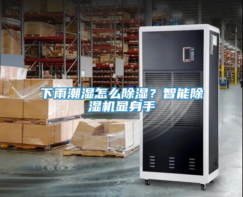 下雨潮湿怎么除湿？智能91免费网站在线观看显身手