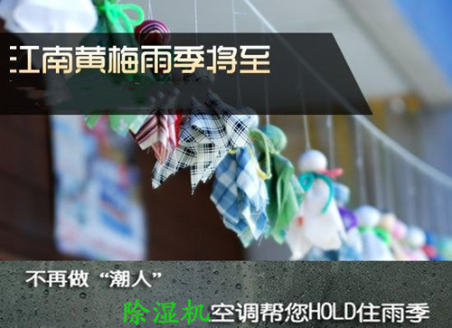 防潮91免费网站在线观看