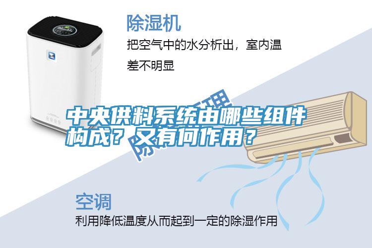 中央供料系统由哪些组件构成？又有何作用？