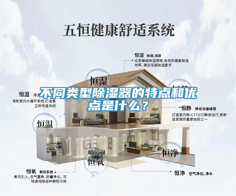 不同类型除湿器的特点和优点是什么？