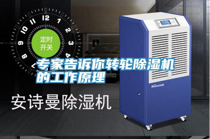 专家告诉你转轮91免费网站在线观看的工作原理