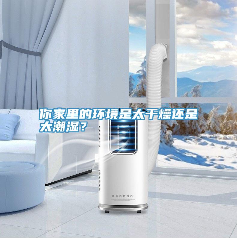 你家里的环境是太干燥还是太潮湿？