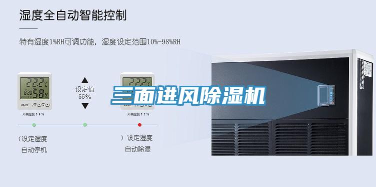 三面进风91免费网站在线观看