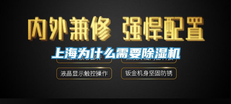 上海为什么需要91免费网站在线观看