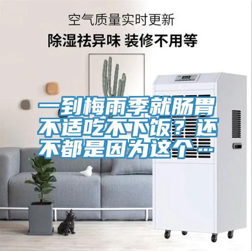 一到梅雨季就肠胃不适吃不下饭？还不都是因为这个…