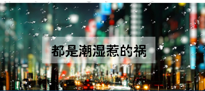 防潮91免费网站在线观看
