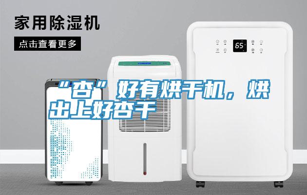 “杏”好有烘干机，烘出上好杏干