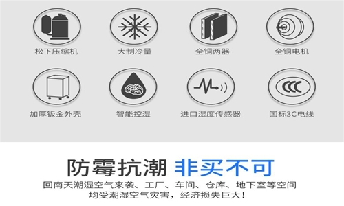 为什么房子潮湿会有危害？