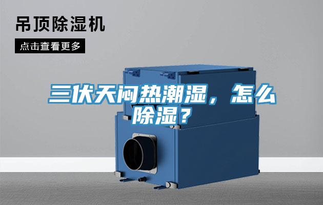 三伏天闷热潮湿，怎么除湿？