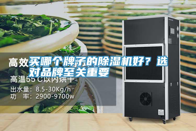 买哪个牌子的91免费网站在线观看好？选对品牌至关重要