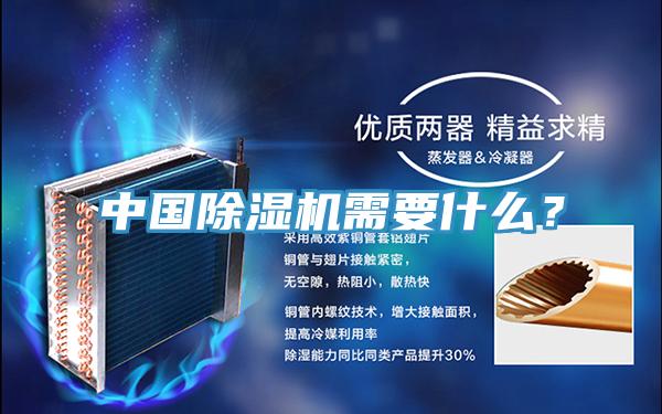中国91免费网站在线观看需要什么？
