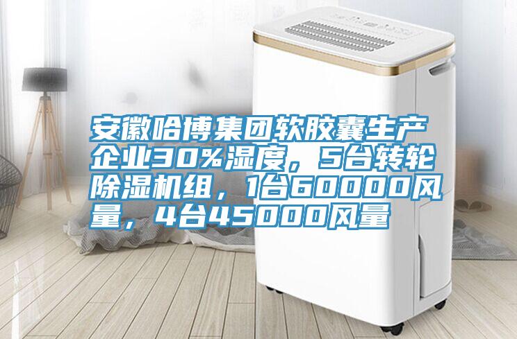 安徽哈博集团软胶囊生产企业30%湿度，5台转轮91免费网站在线观看组，1台60000风量，4台45000风量