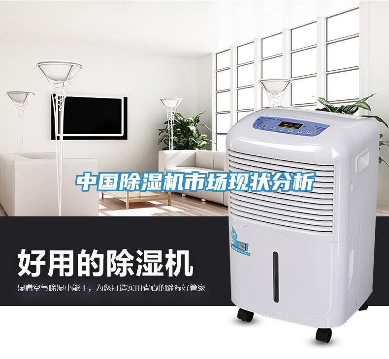 中国91免费网站在线观看市场现状分析