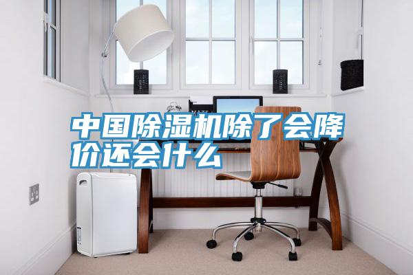 中国91免费网站在线观看除了会降价还会什么
