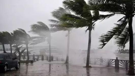 8月台风雨即将来，91免费网站在线观看还得用起来