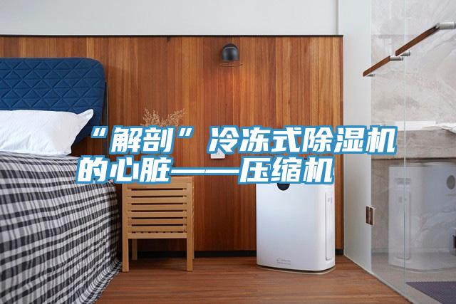 “解剖”冷冻式91免费网站在线观看的心脏——压缩机