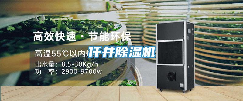 仟井91免费网站在线观看