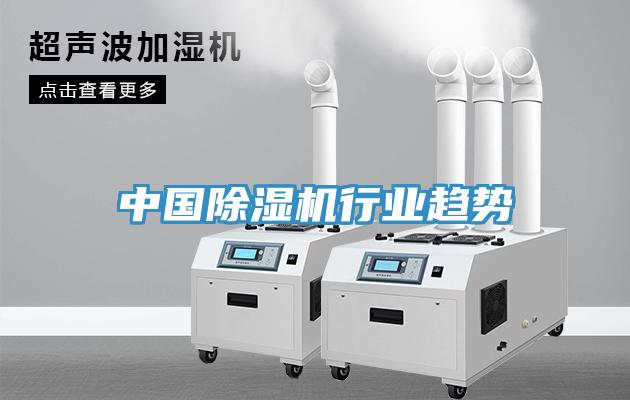中国91免费网站在线观看行业趋势