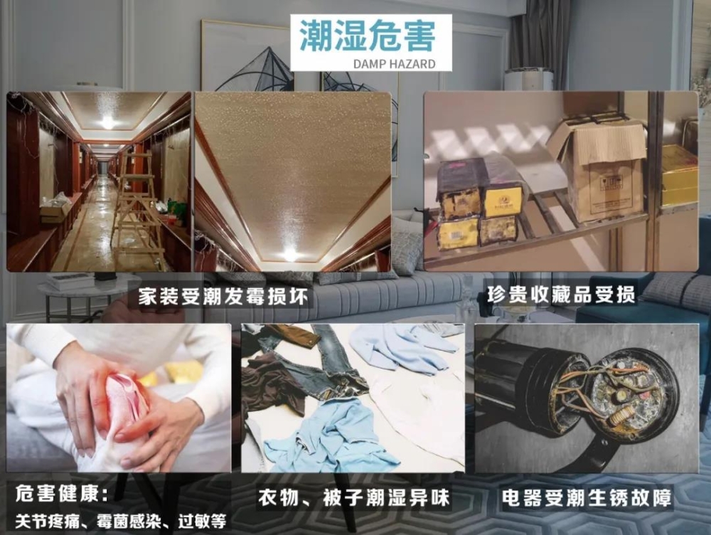 91免费网站在线观看