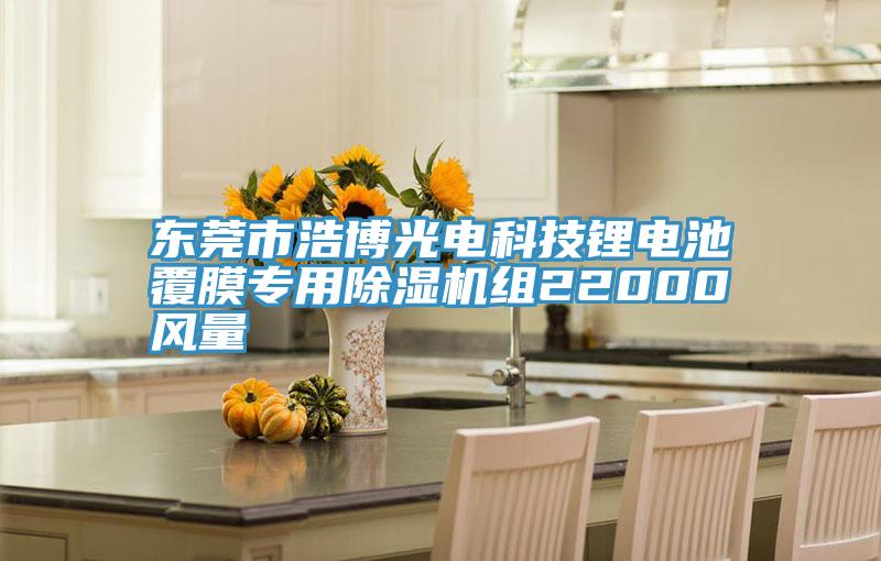 东莞市浩博光电科技锂电池覆膜专用91免费网站在线观看组22000风量