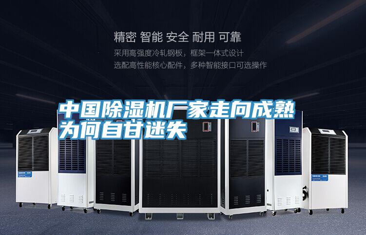 中国91免费网站在线观看厂家走向成熟 为何自甘迷失