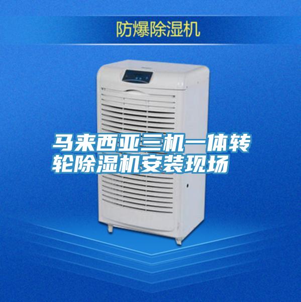 马来西亚三机一体转轮91免费网站在线观看安装现场