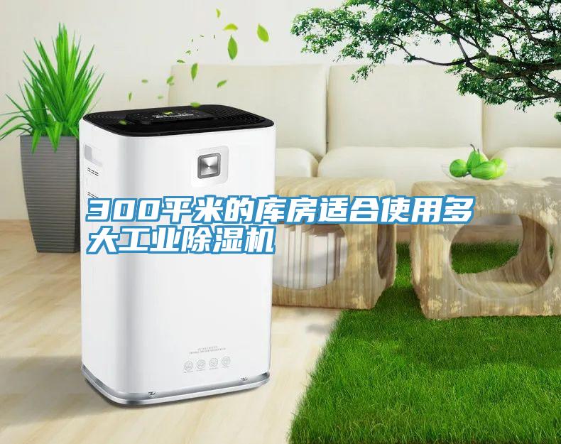 300平米的库房适合使用多大工业91免费网站在线观看
