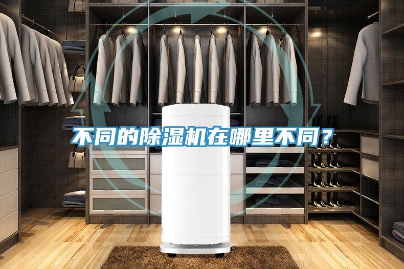 不同的91免费网站在线观看在哪里不同？