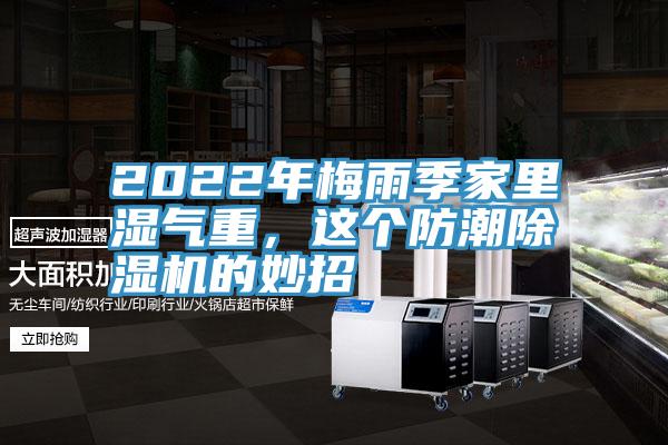 2022年梅雨季家里湿气重，这个防潮91免费网站在线观看的妙招