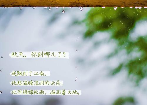“无晴”阴雨天 “有晴”91免费网站在线观看
