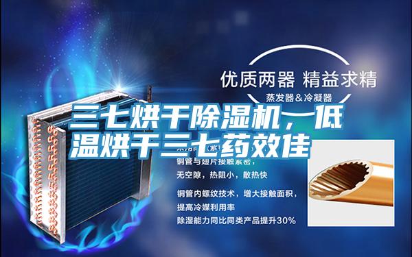三七烘干91免费网站在线观看，低温烘干三七药效佳