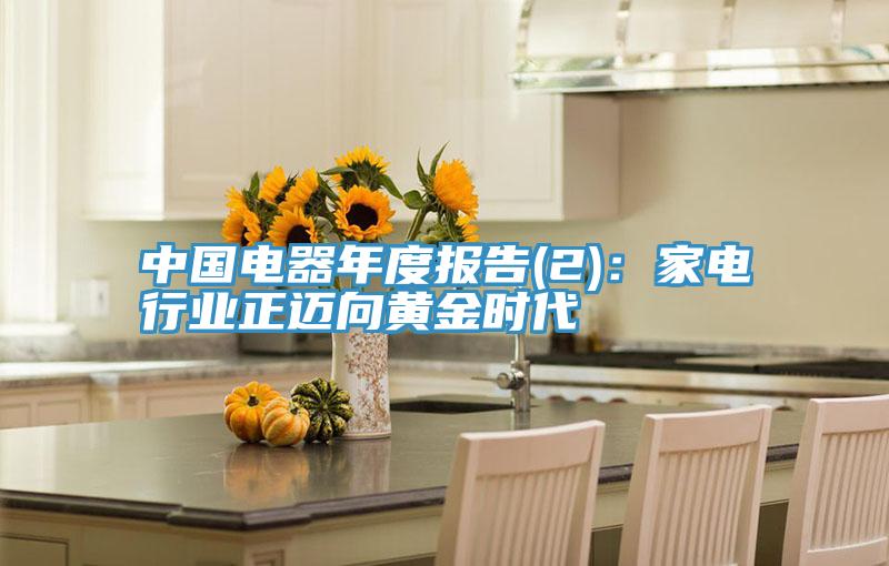 中国电器年度报告(2)：家电行业正迈向黄金时代