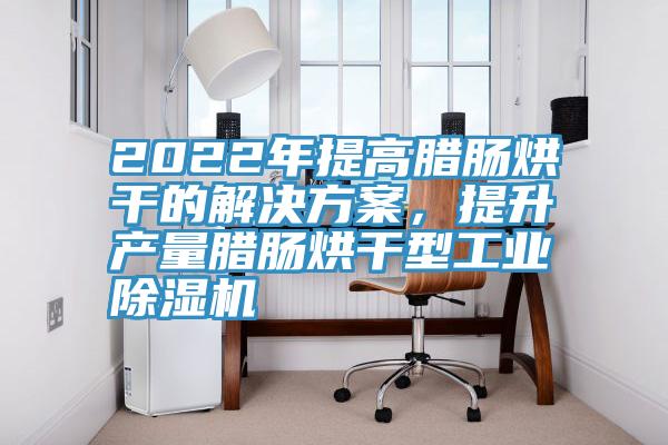 2022年提高腊肠烘干的解决方案，提升产量腊肠烘干型工业91免费网站在线观看