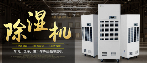 智能91免费网站在线观看
